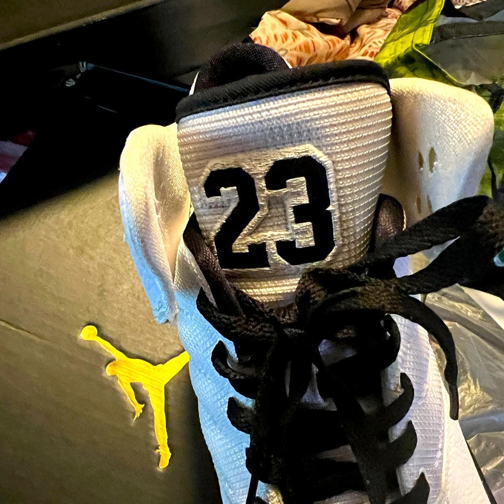 Jordan 1 flight